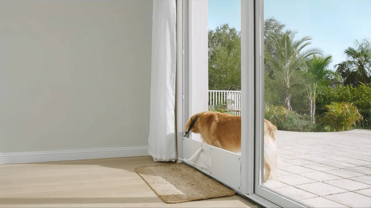 Pet Door Installation